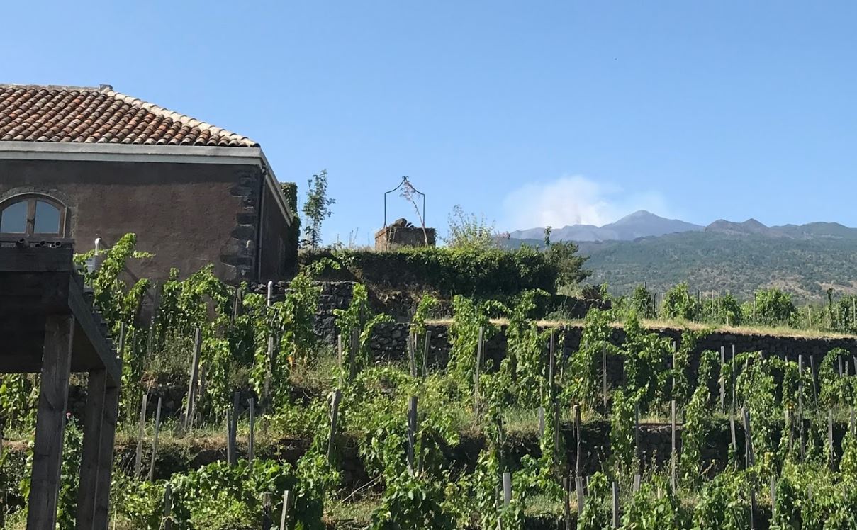 cantine anna vino etna doc