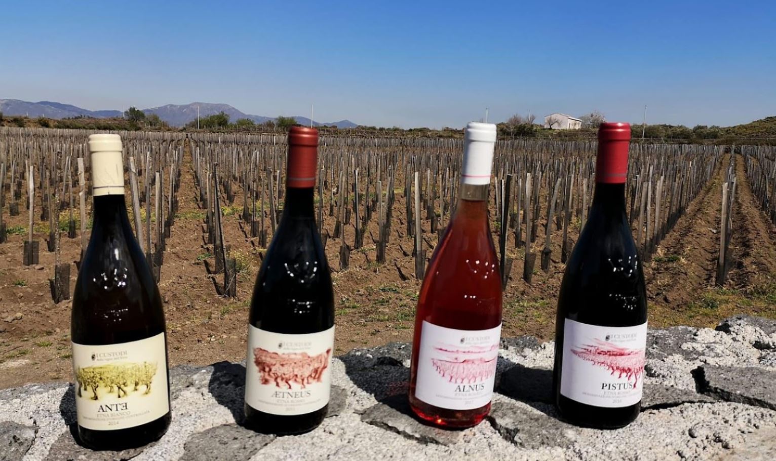cantina i custodi dell'etna vini doc