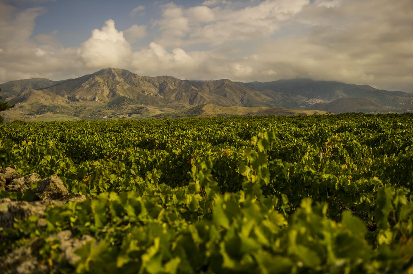 cantine russo vini etna doc