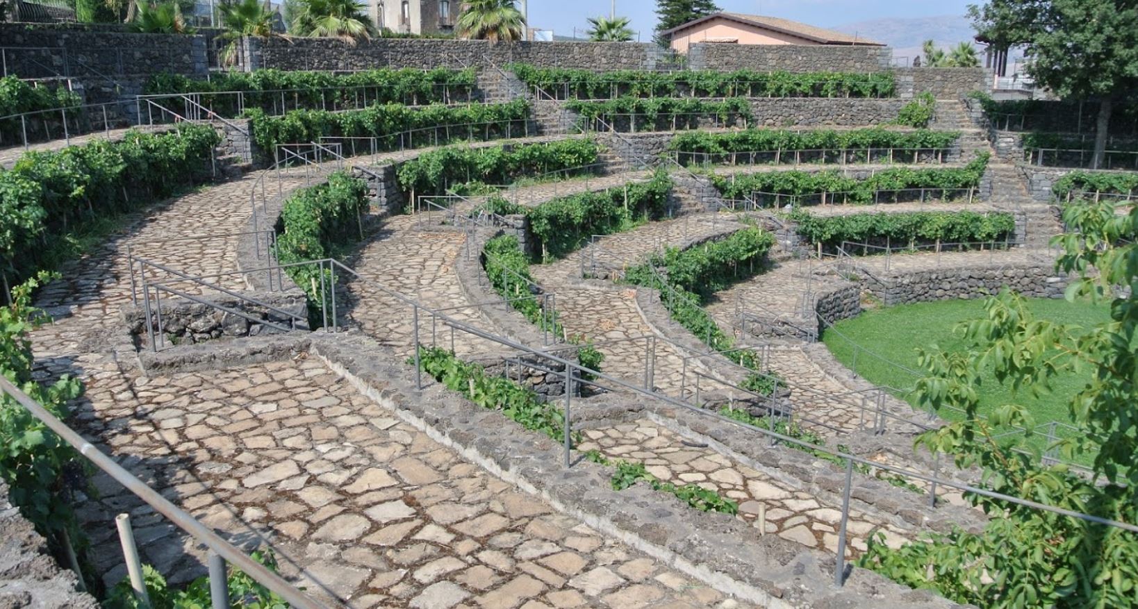 cantine patria etna doc
