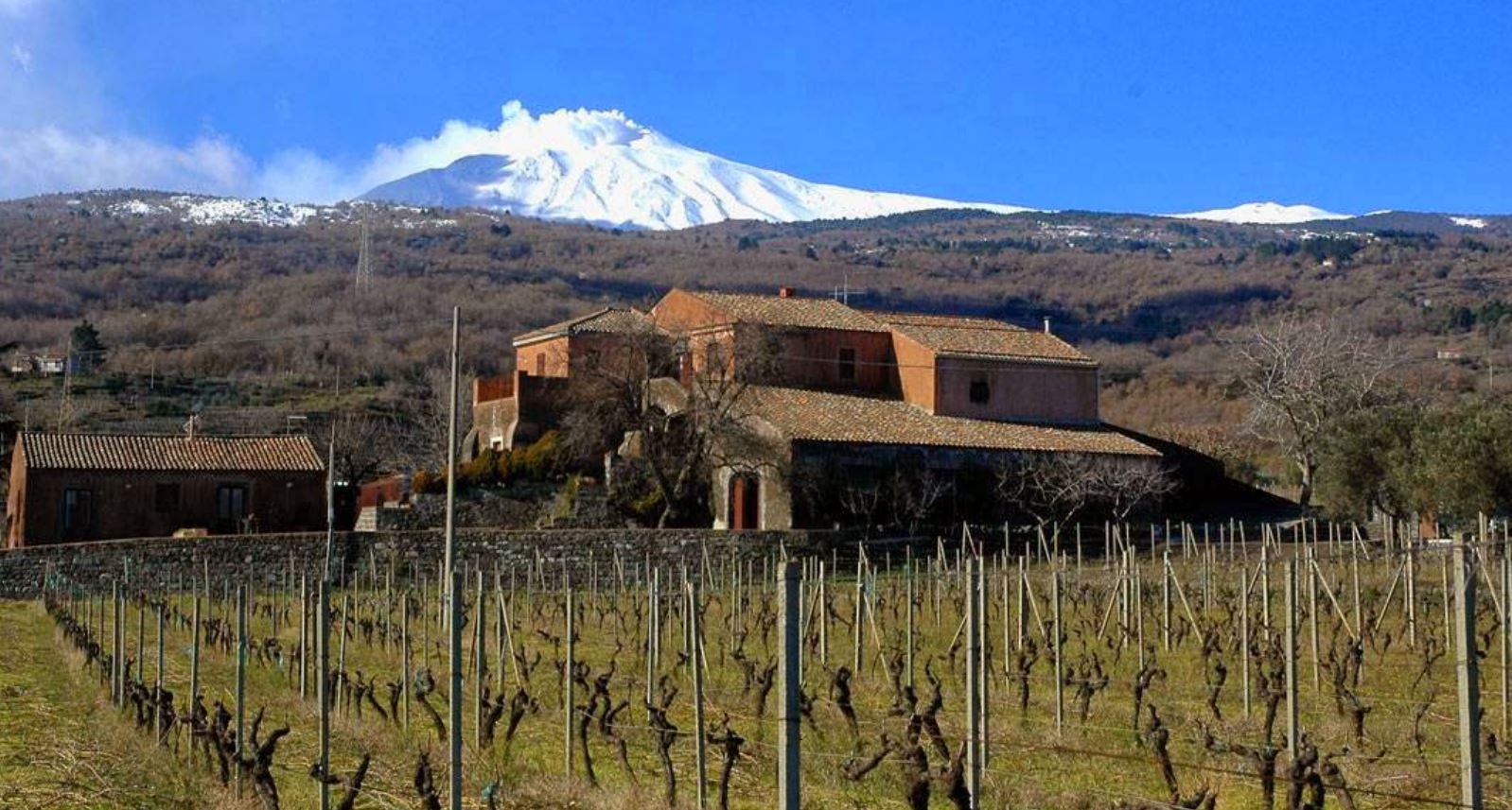 scilio vini etna doc