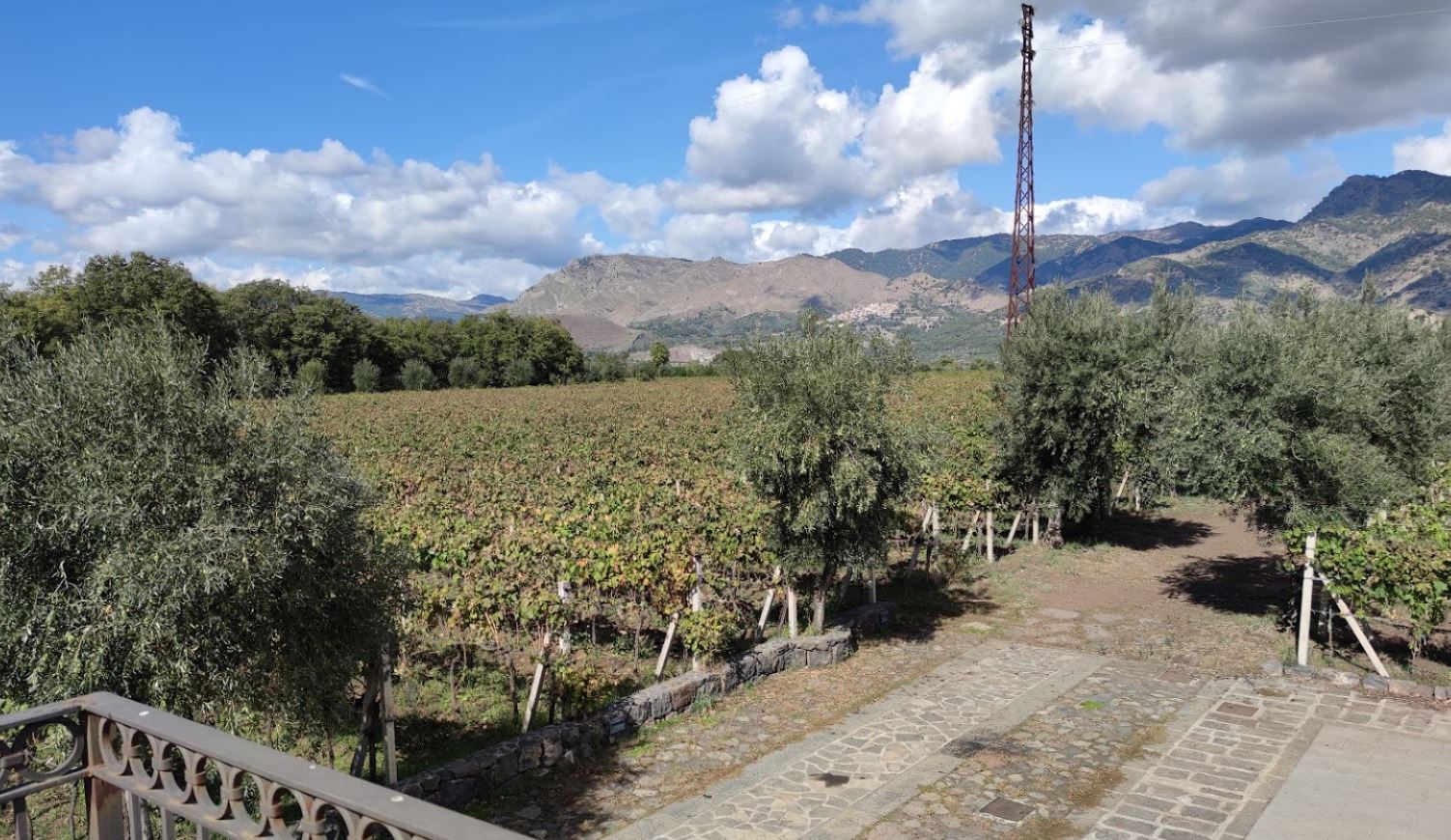 cantine tornatore etna doc