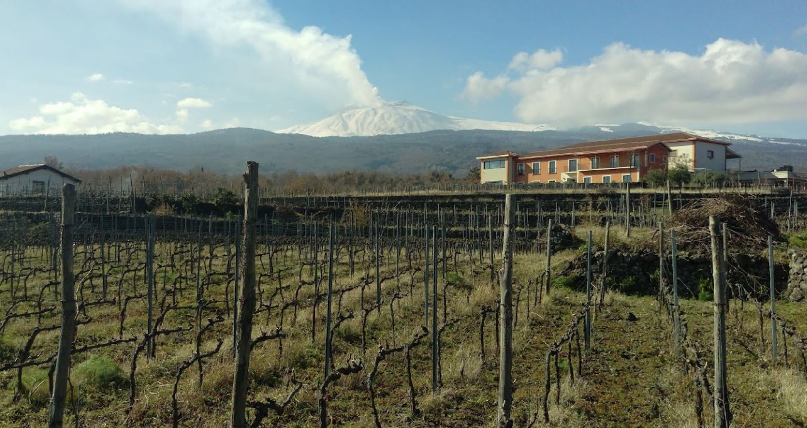 cantine vivera etna doc