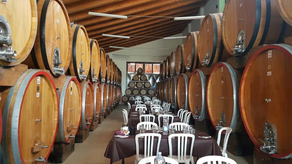 cantina don saro