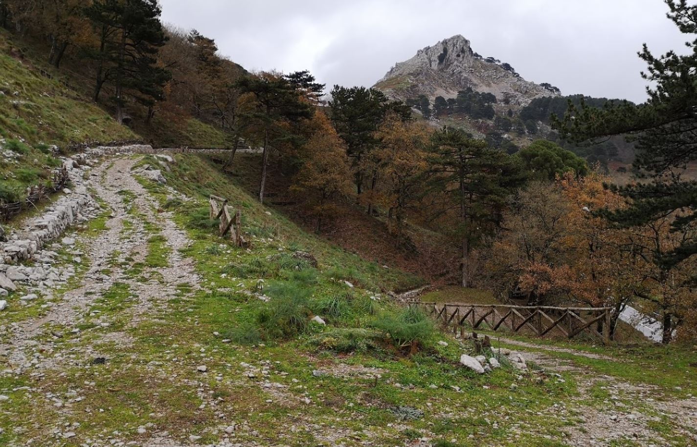 rocca leone e rocca salvatesta novara di sicilia