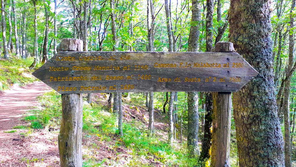 bosco malabotta sentiero della trota