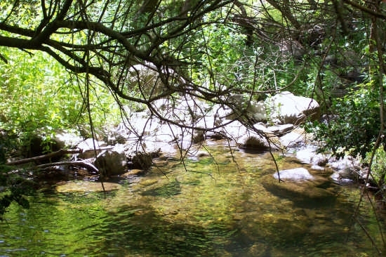 bosco malabotta sentiero della trota