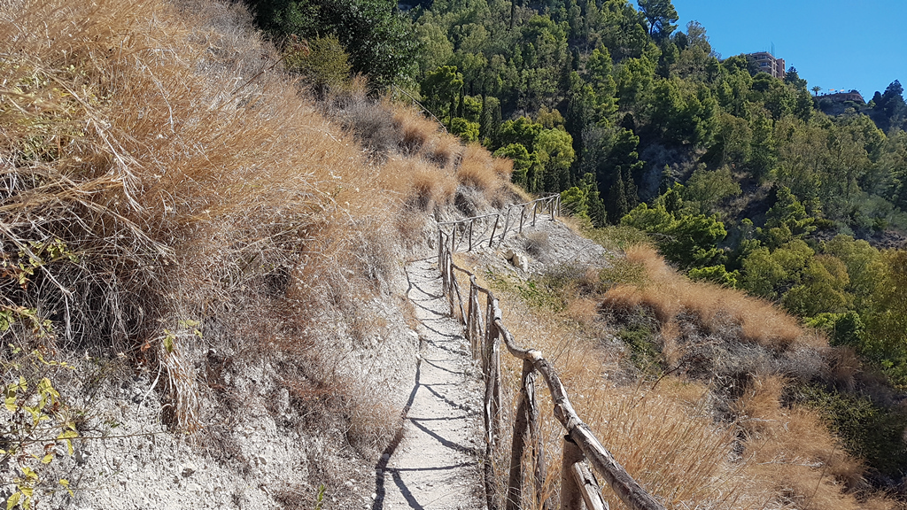 path on dirt